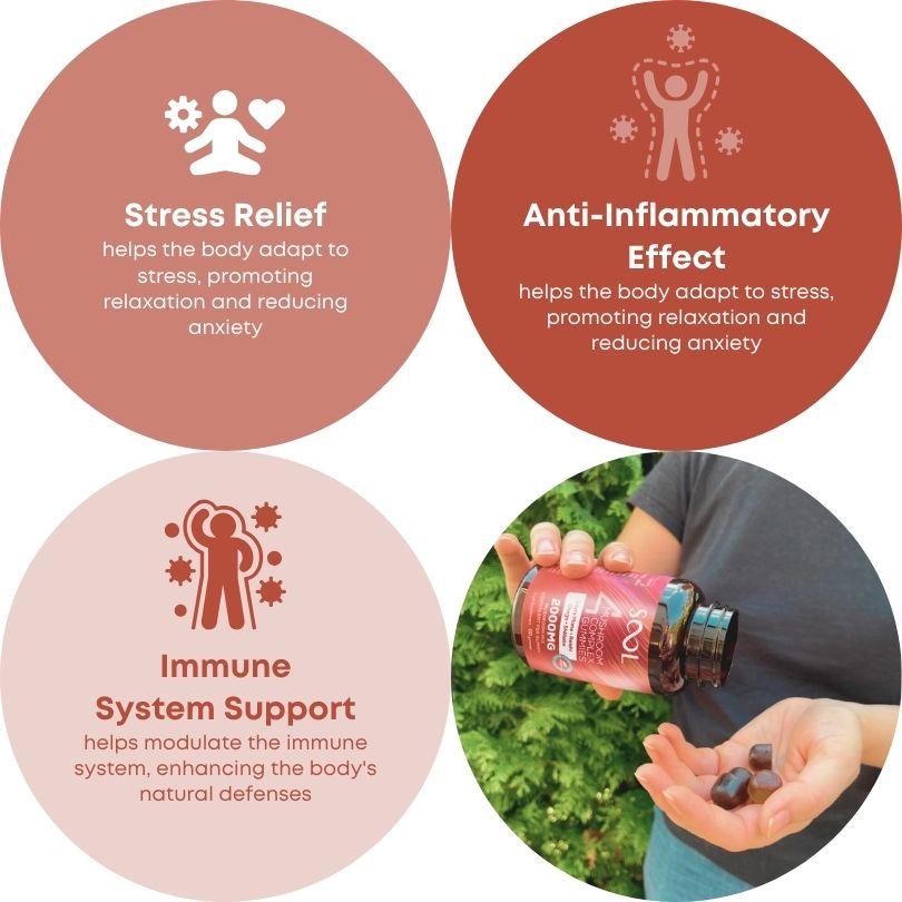 4 Mushroom Complex Vegan Benefits