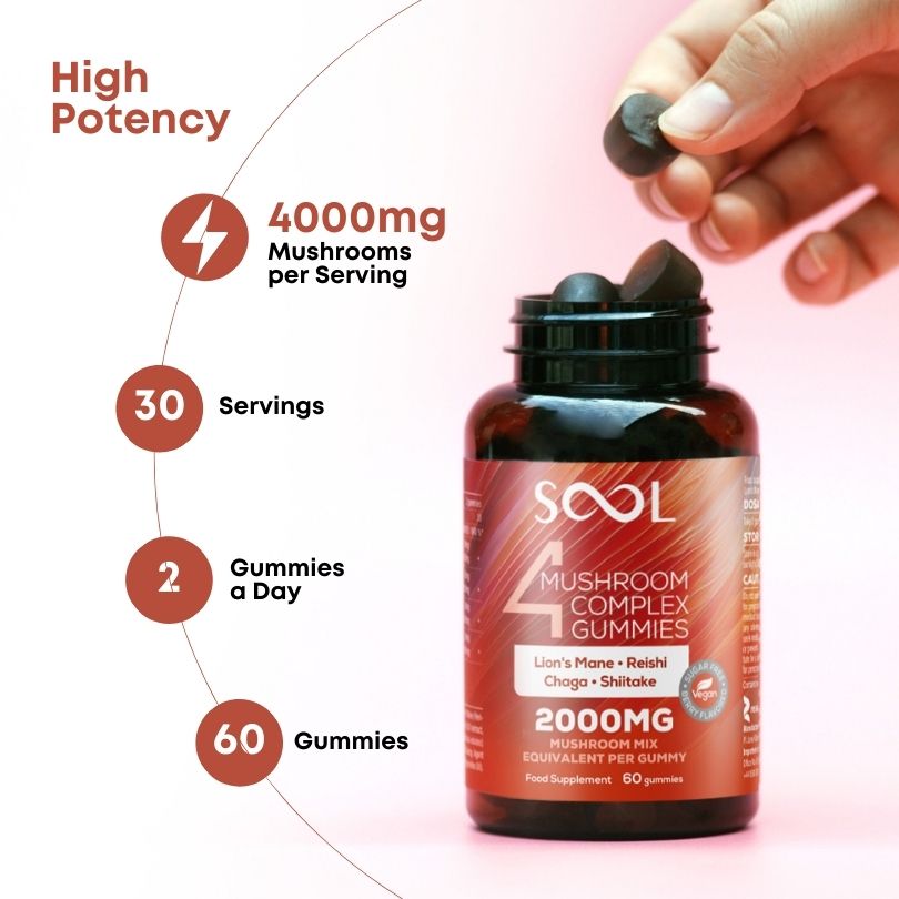 4 Mushroom Complex Vegan Benefits