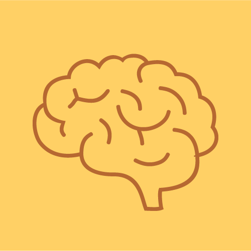 Delicious Berry-Infused Brain Support