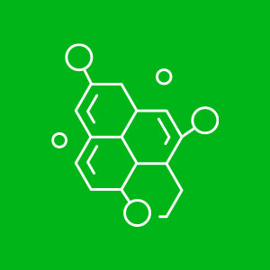 High Bioavailability