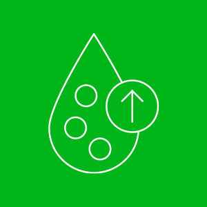 Synergistic Ingredient Blend