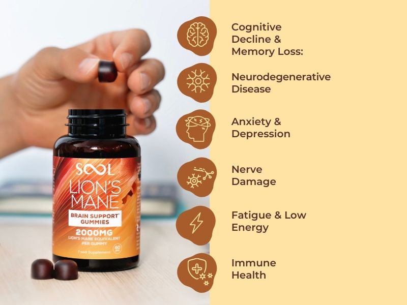 Lion`s Mane Brain Support Mushroom Gummies