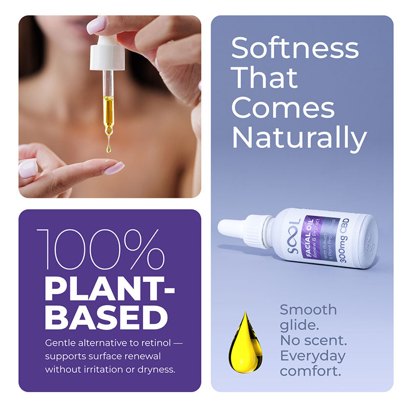Sool Facial Oil Renew & Protect Benefits